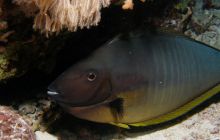 Safari St Johns - Październik 2006