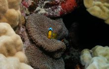 Safari St Johns - Październik 2006