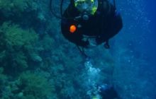 Safari St Johns - Październik 2006