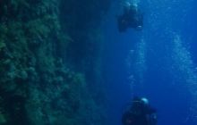 Safari St Johns - Październik 2006