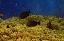 Safari St Johns - Październik 2006