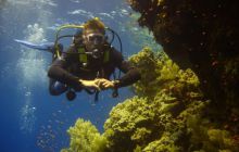 Safari St Johns - Październik 2006