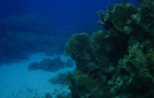 Safari St Johns - Październik 2006