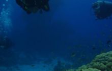 Safari St Johns - Październik 2006