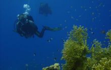 Safari St Johns - Październik 2006