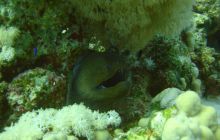 Safari St Johns - Październik 2006