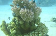 Safari St Johns - Październik 2006