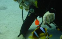 Safari St Johns - Październik 2006