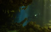 Safari St Johns - Październik 2006