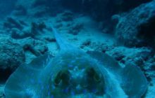 Safari St Johns - Październik 2006