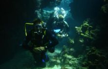 Safari St Johns - Październik 2006