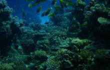 Safari St Johns - Październik 2006