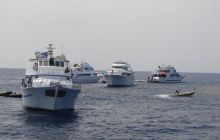 Safari St Johns - Październik 2006