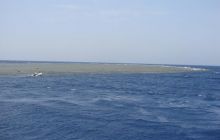 Safari St Johns - Październik 2006