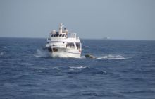 Safari St Johns - Październik 2006