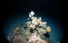 Safari St Johns - Październik 2006