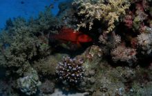 Safari St Johns - Październik 2006