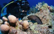 Safari St Johns - Październik 2006