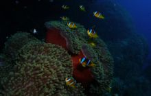 Safari St Johns - Październik 2006