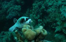 Safari St Johns - Październik 2006