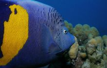 Safari St Johns - Październik 2006