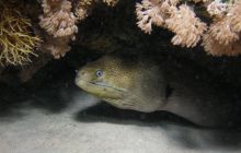 Safari St Johns - Październik 2006