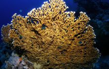 Safari St Johns - Październik 2006