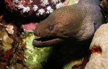 Safari St Johns - Październik 2006