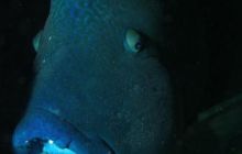 Safari St Johns - Październik 2006