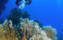 Safari St Johns - Październik 2006