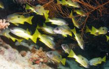 Safari St Johns - Październik 2006