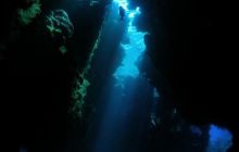 Safari St Johns - Październik 2006