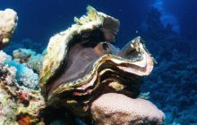 Safari St Johns - Październik 2006