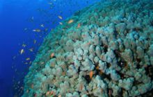 Safari St Johns - Październik 2006