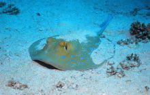 Safari St Johns - Październik 2006