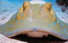 Safari St Johns - Październik 2006