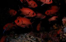 Safari St Johns - Październik 2006