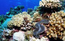 Safari St Johns - Październik 2006