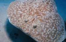 Safari St Johns - Październik 2006