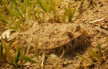 Safari St Johns - Październik 2006