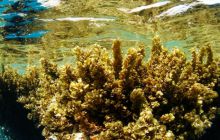 Safari St Johns - Październik 2006