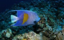 Safari St Johns - Październik 2006