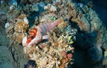 Safari St Johns - Październik 2006