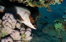 Safari St Johns - Październik 2006