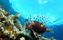 Safari St Johns - Październik 2006