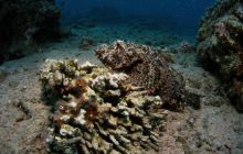 Safari St Johns - Październik 2006