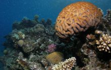 Safari St Johns - Październik 2006