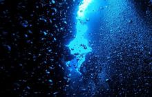 Safari St Johns - Październik 2006