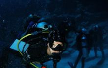 Safari St Johns - Październik 2006