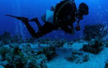 Safari St Johns - Październik 2006